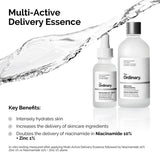 Multi-Active Delivery Essence