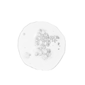 Balancing & Clarifying Serum