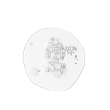 Balancing & Clarifying Serum