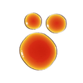 Pycnogenol 5%