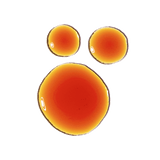 Pycnogenol 5%