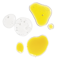 The Antioxidant Collection